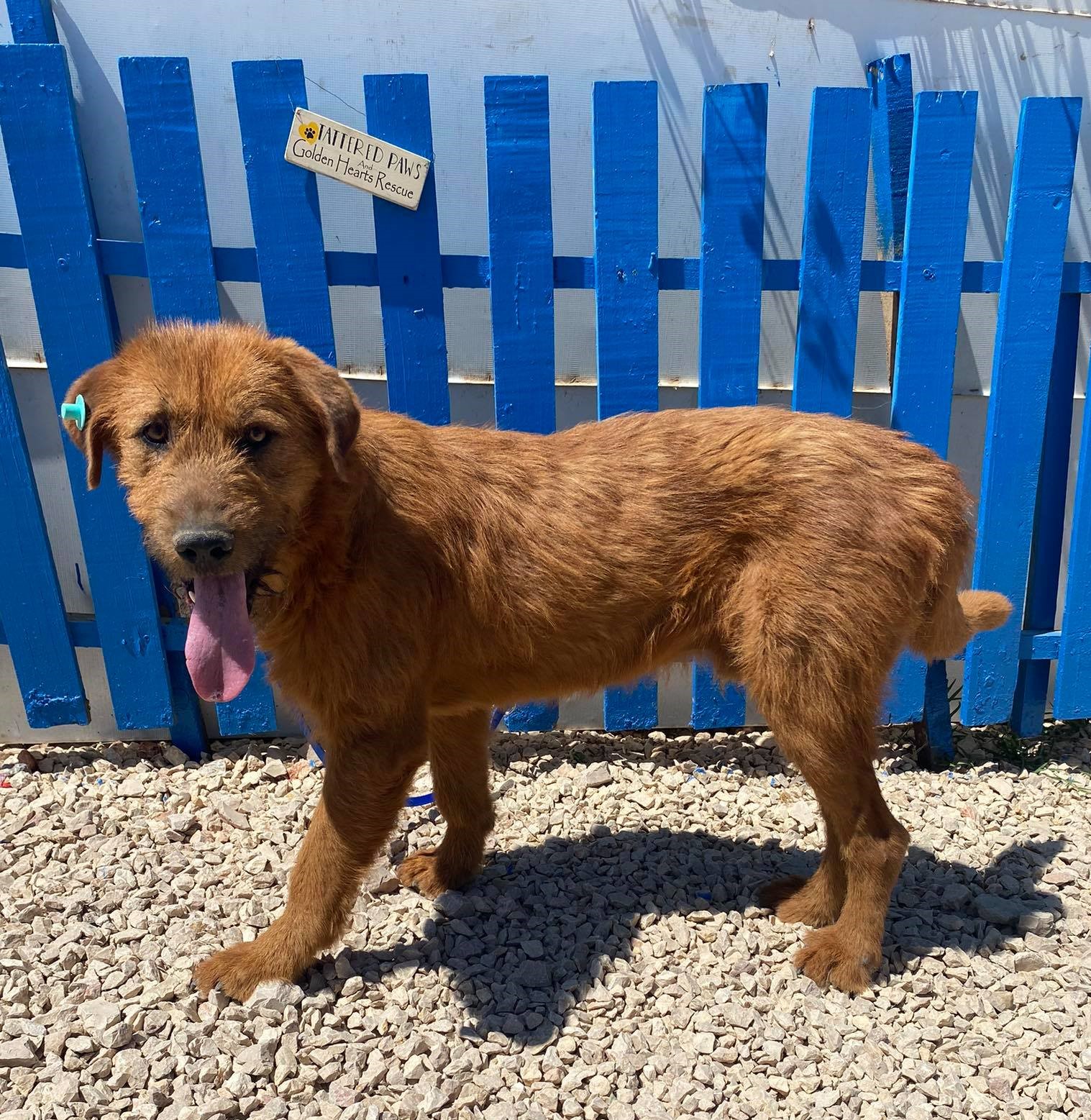 Roland (fka Emerson)